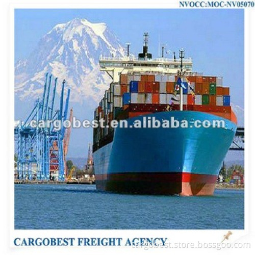 freight service from china to sokhna of Egypt